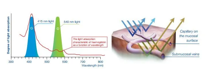 DGYQB0AXUAADkMo.jpg DGYQB0AXUAADkMo.jpg