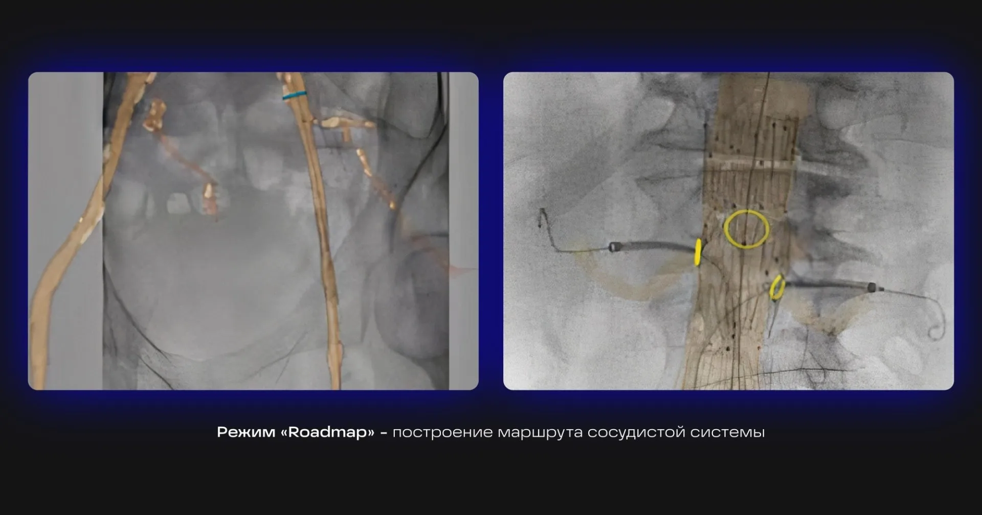 Клинические изображения_2.jpg Клинические изображения_2.jpg