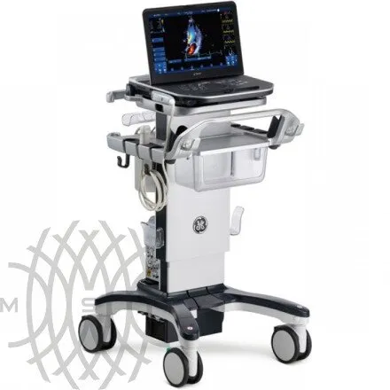 Ультразвуковая диагностическая система GE HealthCare Vivid iQ портативная
