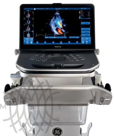 Ультразвуковая диагностическая система GE HealthCare Vivid iQ портативная