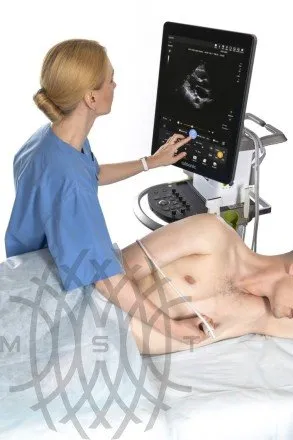 УЗИ аппарат ЕЛС-МЕД Wisonic L